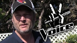 blake shelton the voice