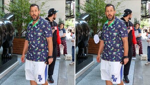 0821-adam-sandler-frigin-diff-primary_720