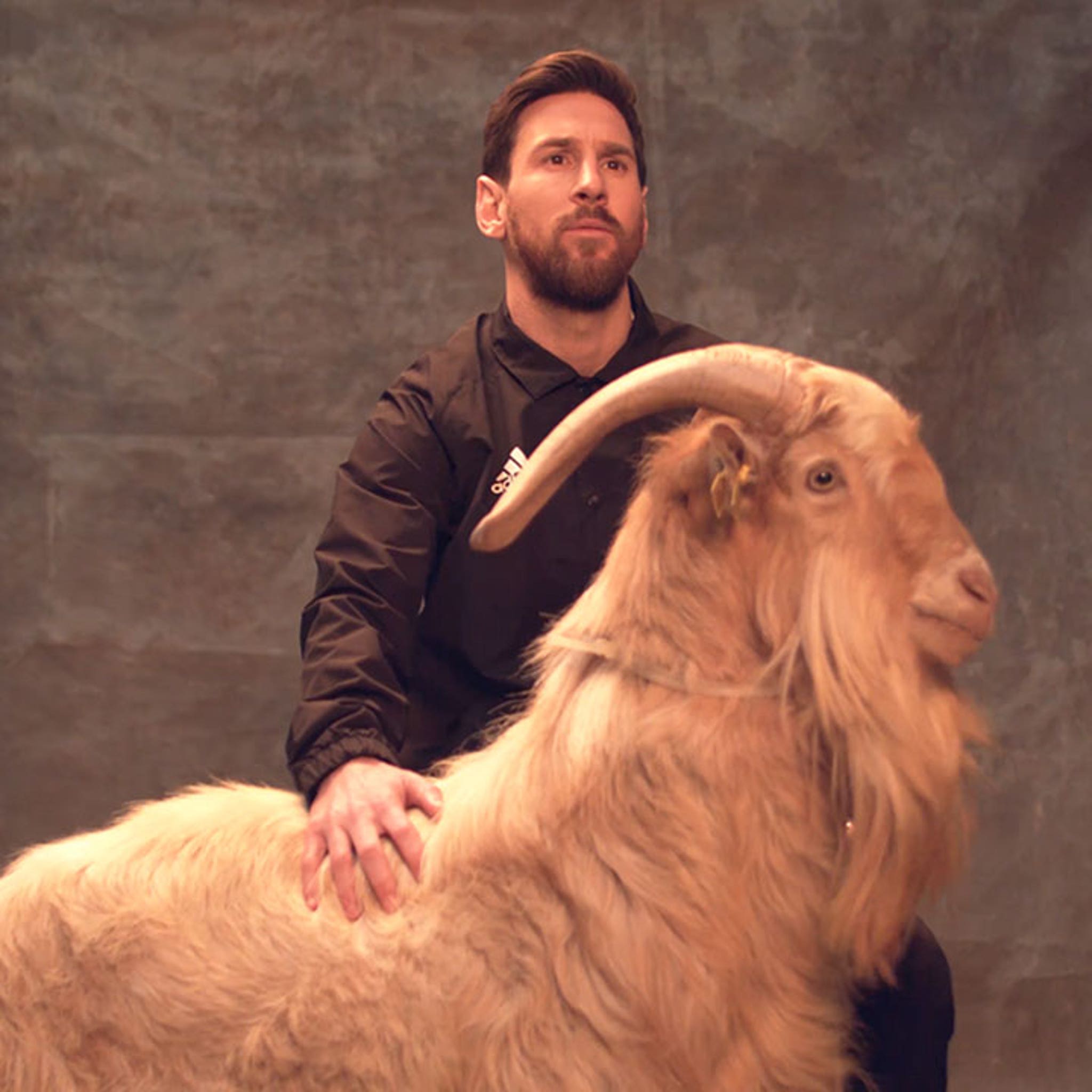 Muelle del puente Pertenecer a Contorno Lionel Messi Poses with Goats While Saying He's Not the G.O.A.T.