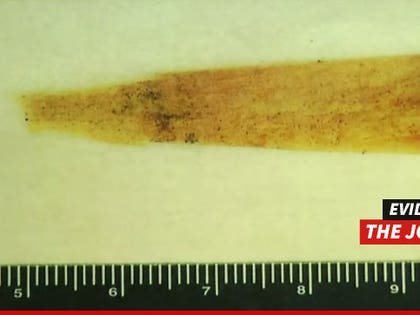 0306-subasset-aaron-hernandez-joint