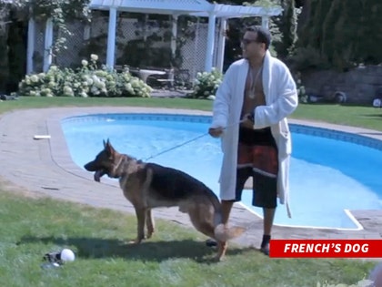 0829-french-montana-and-dog-nocredit-01