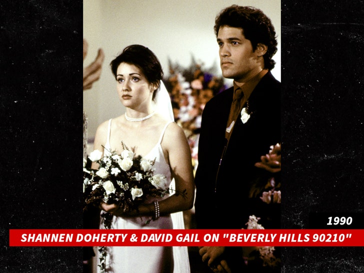 Shannen Doherty and David Gail on BEVERLY HILLS 90210