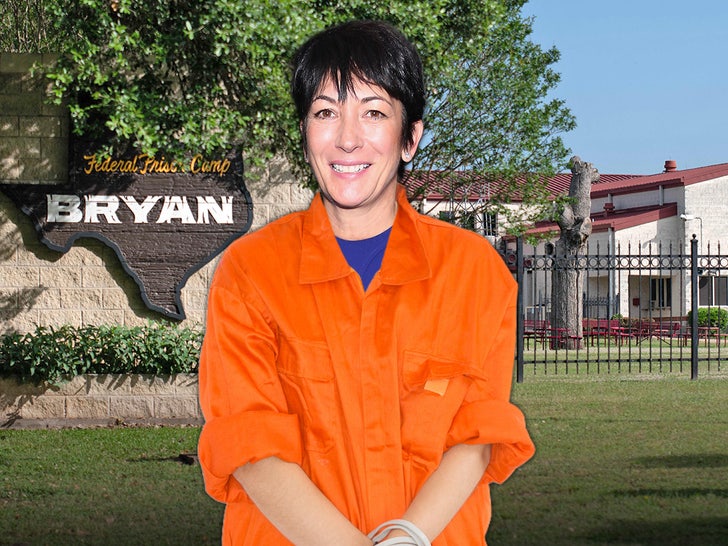 ghislaine maxwell fpc bryan texas main getty