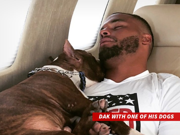 Dak Prescott's loose dog quarantined after biting neighbor