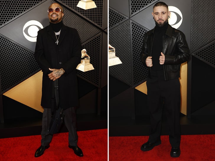 Celebs Let Their Outfits Do The Singing on 2024 Grammys Red Carpet