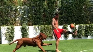 Lionel Messi Plays Soccer Keep-Away With Dog Twice His Size
