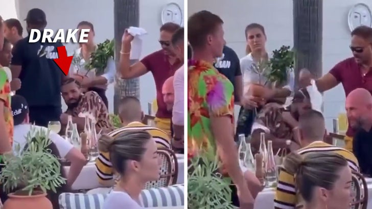 Drake Dodges Bee as Team Swats Wildly During St. Tropez Party.jpg