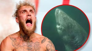 Jake Paul Jokes He's Fighting 392-Year-Old Shark After Mike Tyson Win