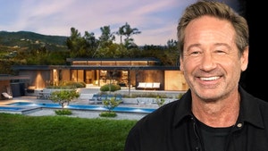 David Duchovny selling malibu house getty cristian cruzio 1