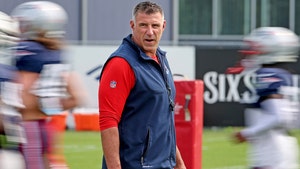 mike vrabel getty 1