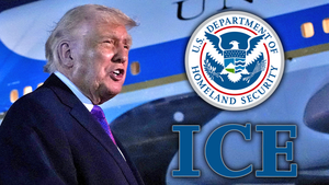 donald trump ice airport main getty
