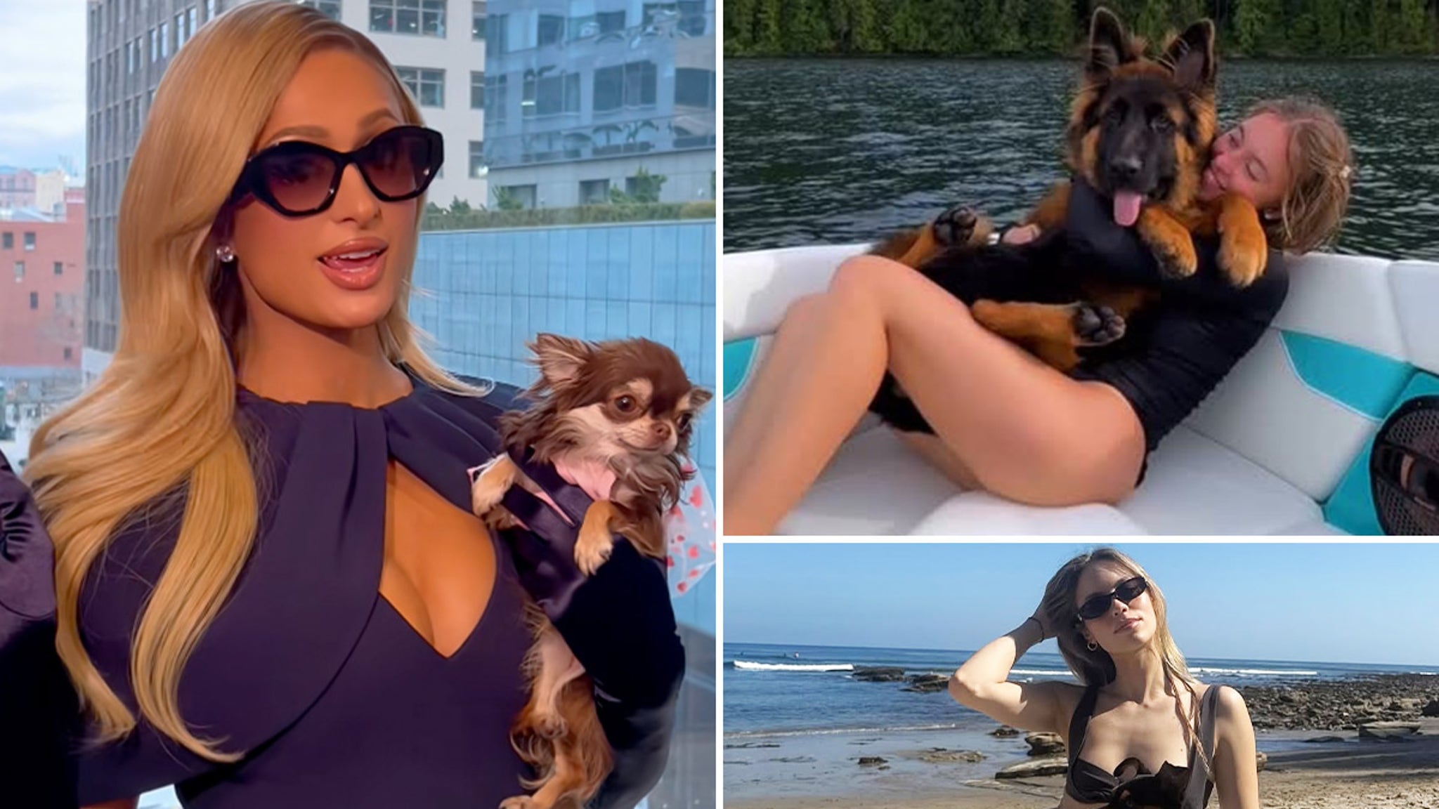 Hot Moms Who Let The Dogs Out ... Happy Dog Mom Day!