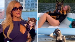 0505-Celebrity-Dog-Moms-PRIMARY