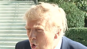 102226 donald trump primary