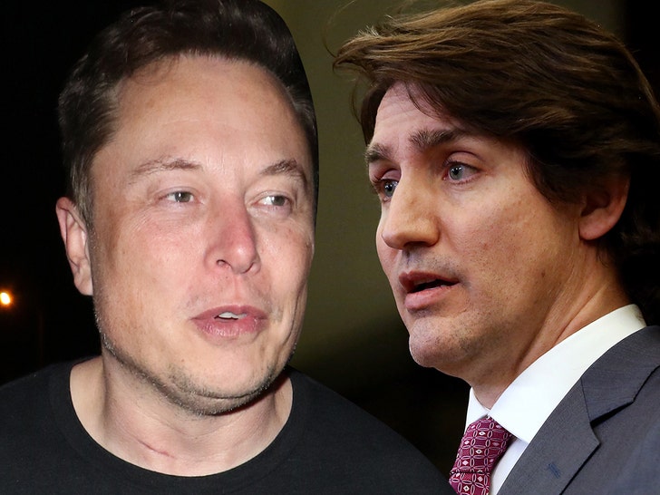 Elon Musk Compares Justin Trudeau To Hitler