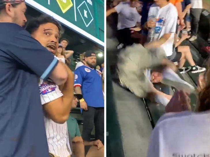 Cubs Game Fight