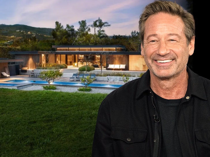 David Duchovny's Malibu Beach House