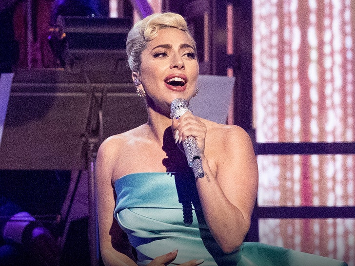 Lady Gaga's Performance Photos