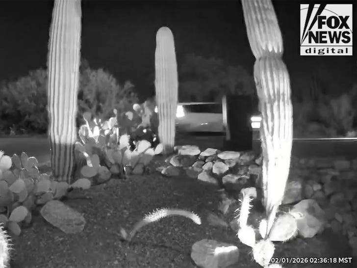 022626_nancy_guthrie_truck_car_2