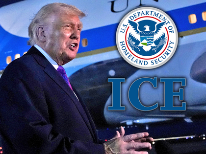 donald trump ice airport main getty