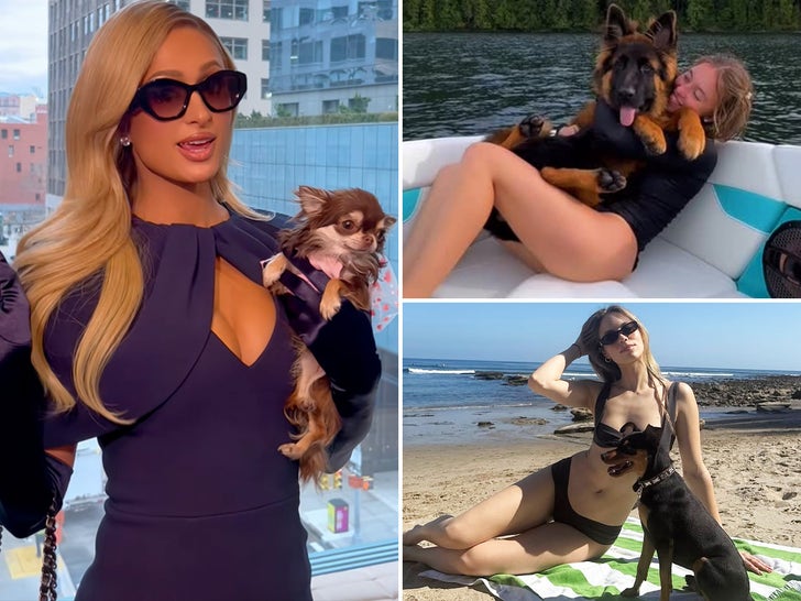 Celebrity Dog Moms