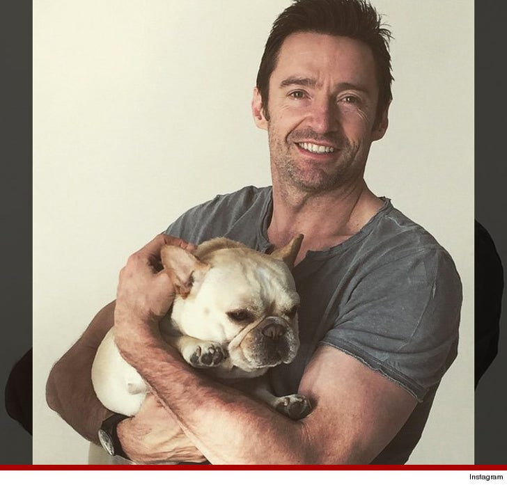 Celebrity Dogs Living Better Than You On National Puppy Day :: 0323-puppy-pic-21