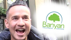 Mike 'The Situation' Sorrentino Giving Away Scholarship for Free Rehab