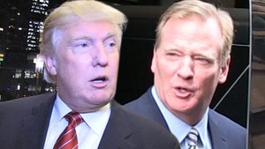 Donald Trump Shades Roger Goodell, Kneeling is Disrespectful to Flag & Country
