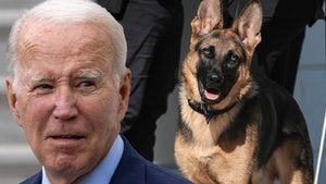 Biden's German Shepherd Commander Bites Another Secret Service Agent