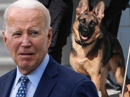 joe biden Commander