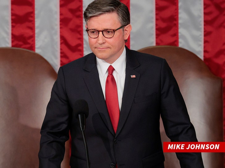 sub-Mike Johnson getty