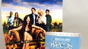 Showtime Generates Buzz For "Weeds"