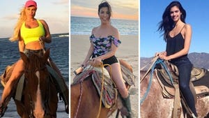 Stars On Horseback -- Giddy Up!