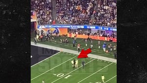 Fans Run On Field During Super Bowl, Tackled By Security
