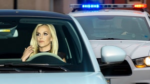 Britney Spears Pulled Over by Cops for Improper Turn Over Double Lines