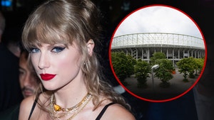 taylor swift and vienna stadium