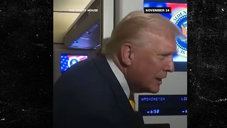 111825_donald_trump_piggy_kal