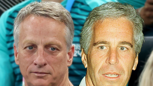 tony hawk jeffrey epstein main getty