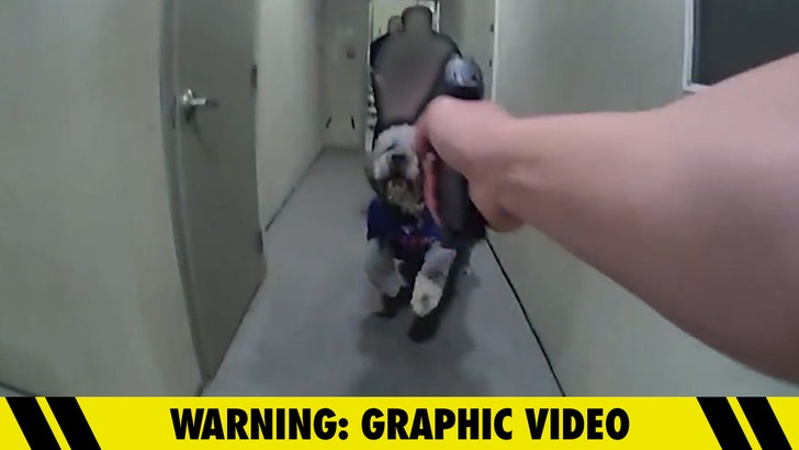 lapd-dog-shooting-kal-06-19-2026