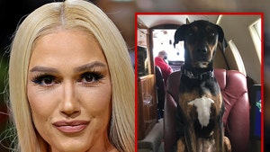 main-gwen-stefani-getty-ig-1