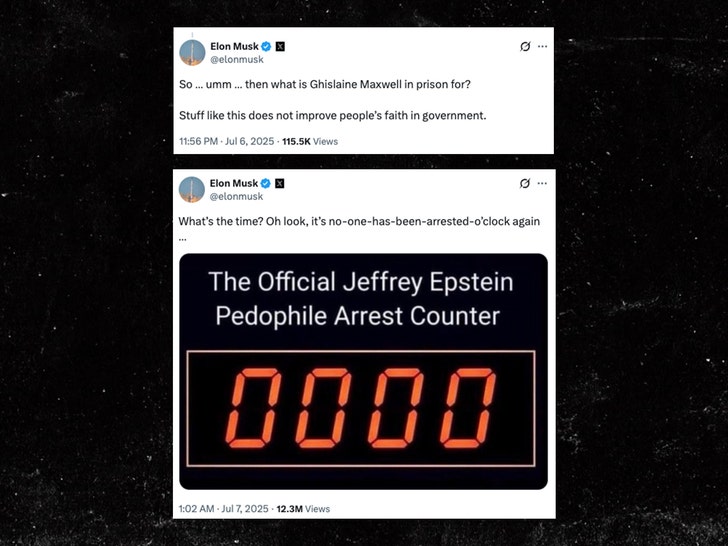 elon musk on jeffrey epstein x 1