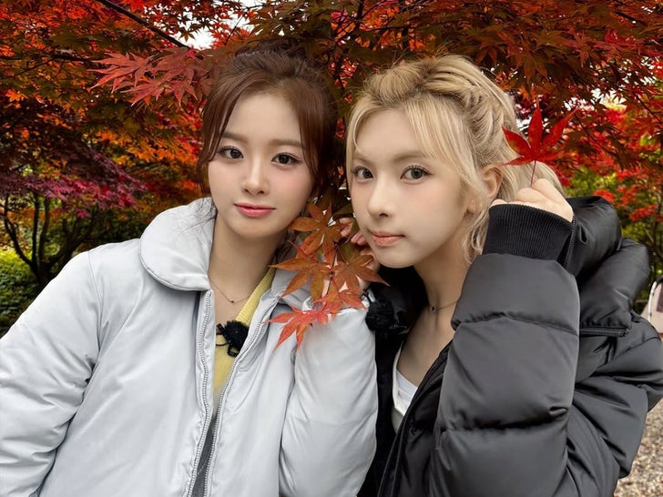 1104-Folhagem de outono-Sub2