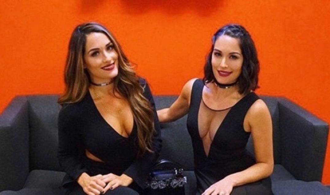 bella_twins_instagram32