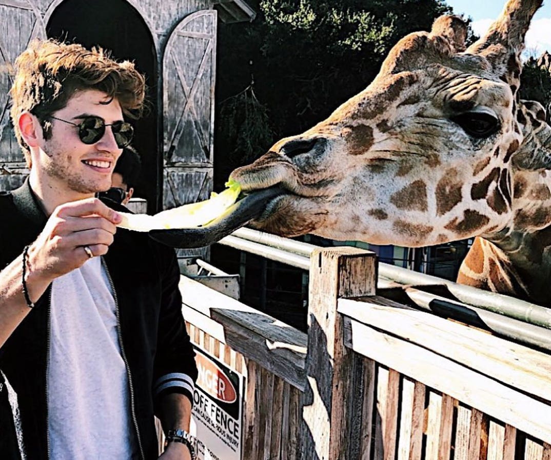Gregg Sulkin