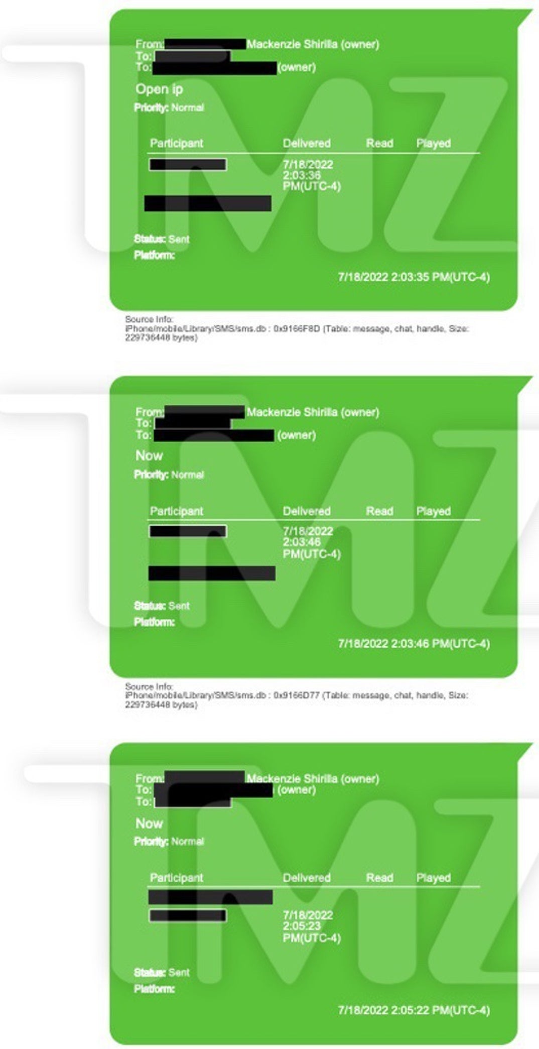 Mackenzie Shirilla Accusing Dominic Russo Texts 5