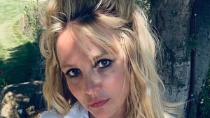 Jamie Spears Suspended as Britney Spears' Conservator, Move to End Conservatorship