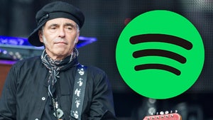 Springsteen Guitarist Nils Lofgren Pulls Music Off Spotify in Joe Rogan Protest
