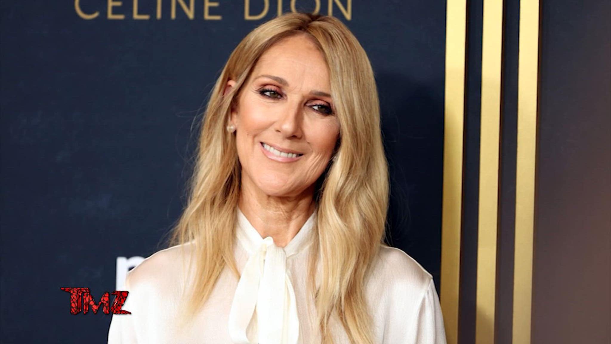 Celine Dion kondigt aan dat ze tien shows geeft in een strijd tegen ziektes