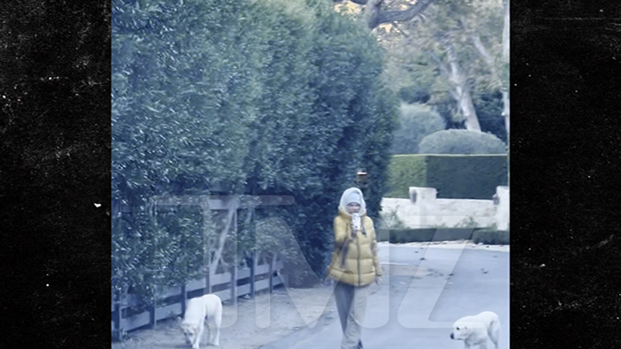 'Baywatch' Star David Charvet Says Video Shows Dogs Off Leash After Fatal Hit