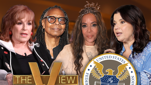 main Whoopi Goldberg, Joy Behar, Sunny Hostin Ana Navarro FCC getty 2